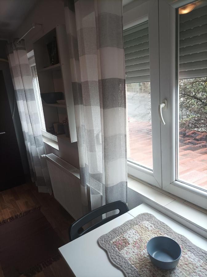 Apartmani Biljana Lazic Врнячка-Баня Экстерьер фото
