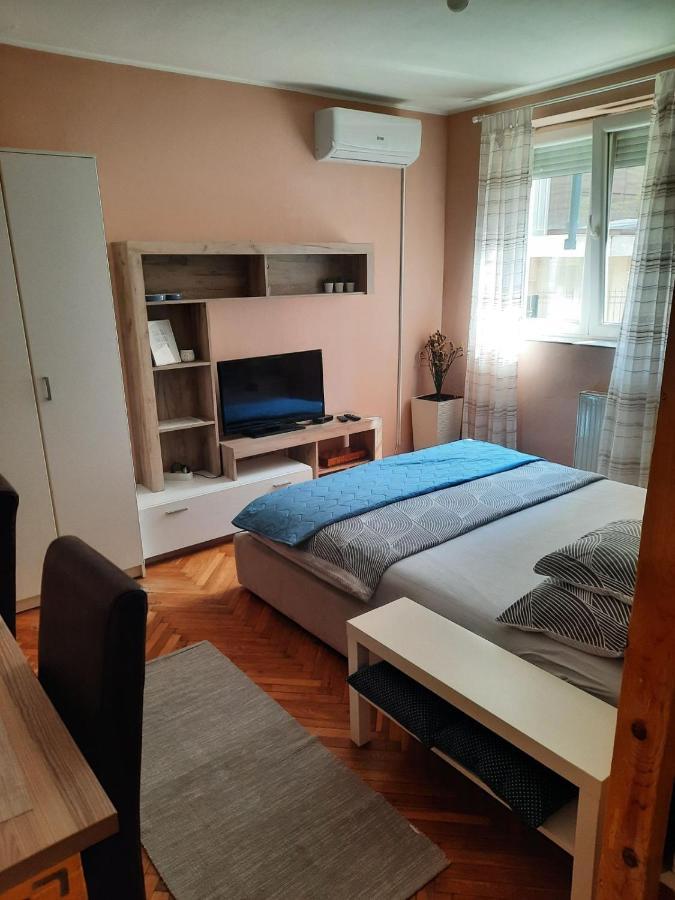 Apartmani Biljana Lazic Врнячка-Баня Экстерьер фото