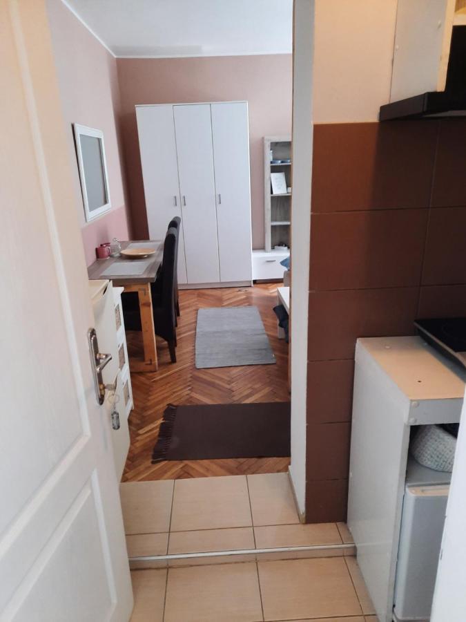 Apartmani Biljana Lazic Врнячка-Баня Экстерьер фото